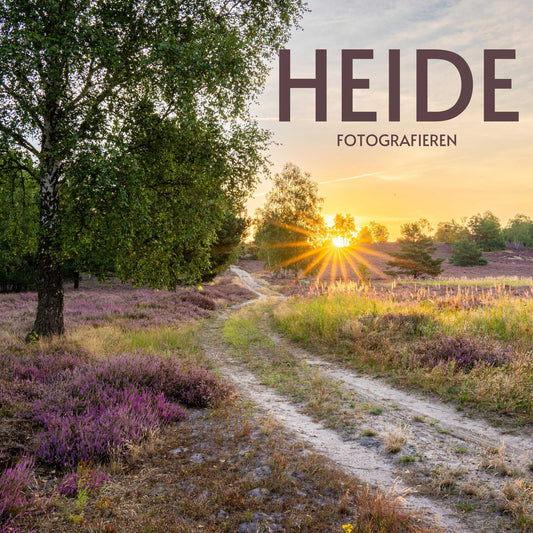AUSVERKAUFT Workshop - Magie der Heide – Fotografieren in den Gardelegener Kellerbergen