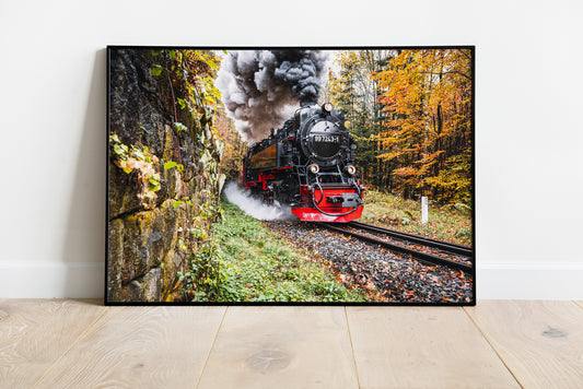 Ausdruck Brockenbahn im Herbstwald