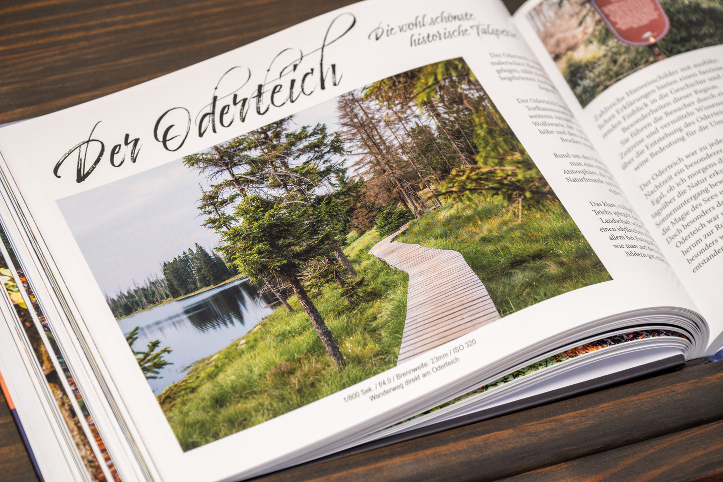Bundle #HARZ + #ALTMARK + GRATIS Autogrammkarte