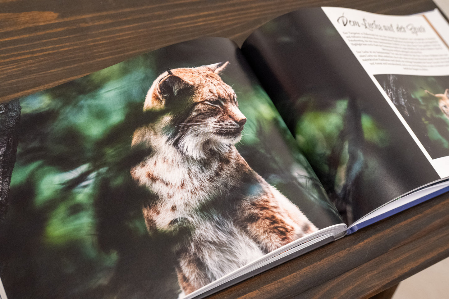 Bundle #HARZ + #ALTMARK + GRATIS Autogrammkarte