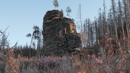 #HARZ - Campingtouren 1 - 5 - Die Filme