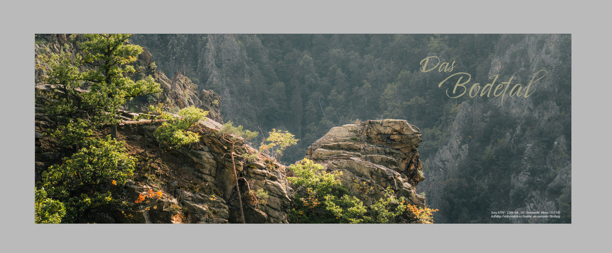 Felslandschaft und Wald: eine Fotografie aus HARZ II